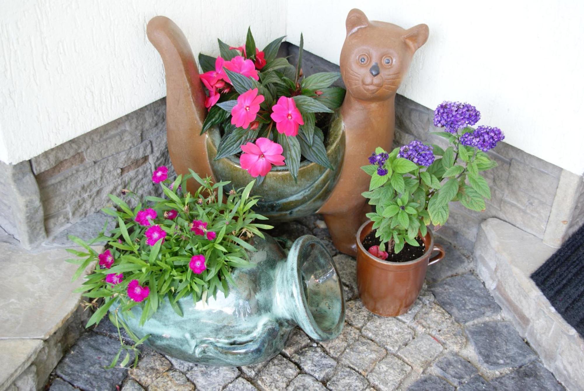 Bed & Breakfast Stareczka